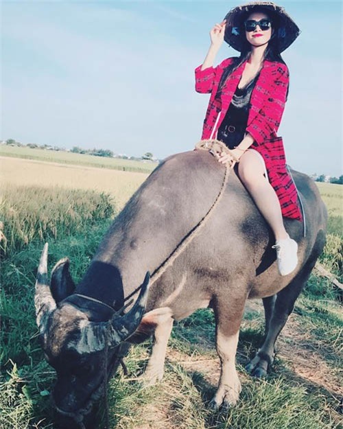 Đông Nhi đội nón lá cưỡi trâu ra đồng