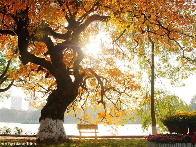 Hà Nội sáng nắng, chiều mưa đề phòng tố lốc