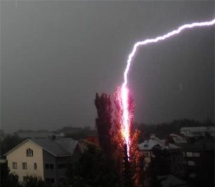 Đào huyệt mộ chôn người thân, 3 người bị sét đánh tử vong