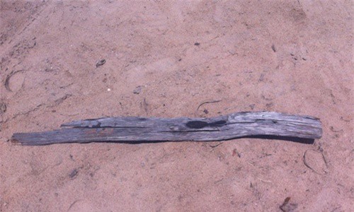 Mâu thuẫn trong đám tang, giáo viên tiểu học đánh chết người