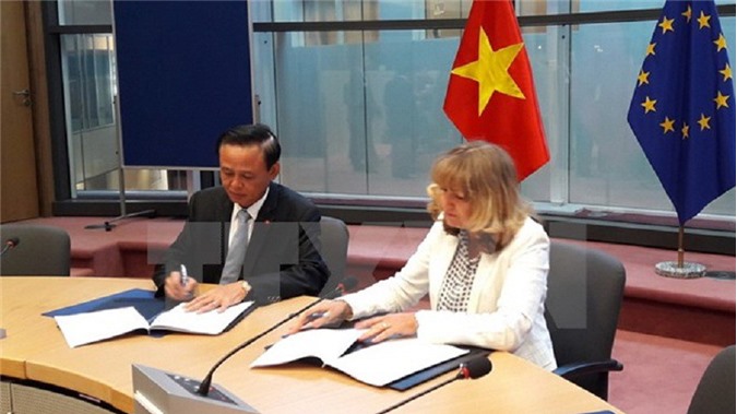 Việt Nam - EU hoàn tất đàm phán chống khai thác gỗ trái phép