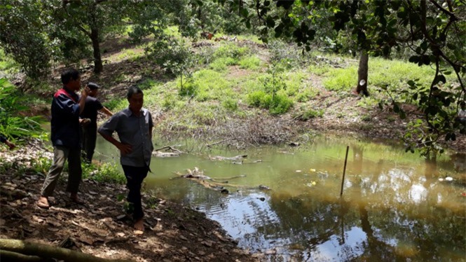 3 học sinh chết đuối thương tâm khi bắt nòng nọc dưới ao