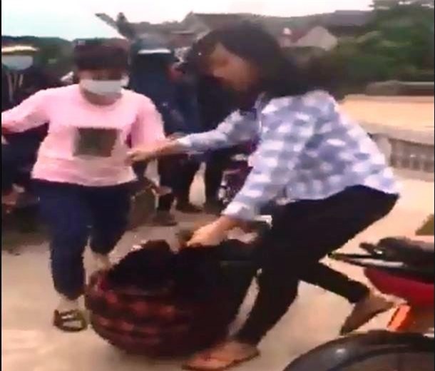 Điều tra nhóm nữ sinh đánh bạn gây xôn xao ở Nghệ An