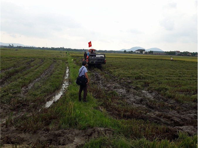 Huyện Kỳ Anh, Hà Tĩnh: Có hiện tượng côn đồ bảo kê mùa gặt?