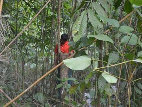 Tin mới vụ mẹ gào khóc khi tận thấy con trai chết treo cổ