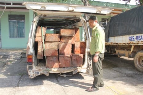 Xe biển xanh chở gỗ lậu, tài xế nhảy khỏi cabin bỏ trốn