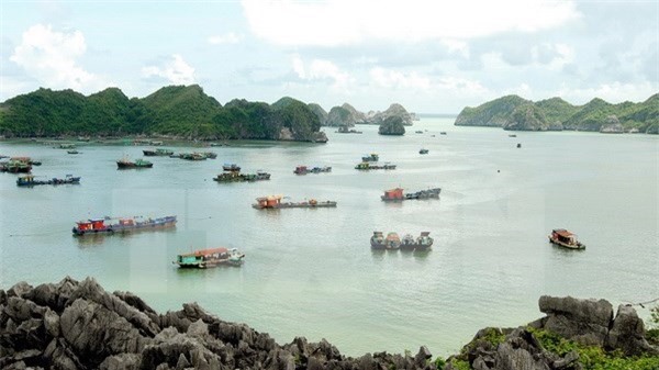 Quảng Ninh thông tin vụ du khách Anh tự tử trên tàu du lịch