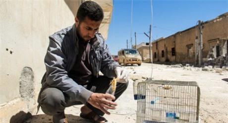 Nga nói đã biết ai sở hữu vũ khí hóa học tại Syria