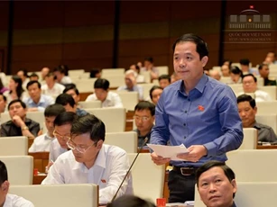 Đại biểu thảo luận về tổ chức xúc tiến thương mại ở nước ngoài