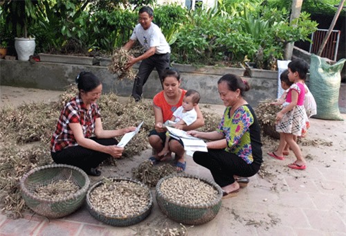 Bảo hiểm y tế: Sẽ không ghi thời điểm hết hạn sử dụng