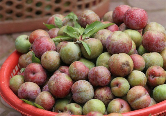 Vải, mận vào mùa, thị trường rau quả trong nước sôi động