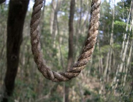 Bàng hoàng thanh niên tử vong bất thường trong rừng tràm