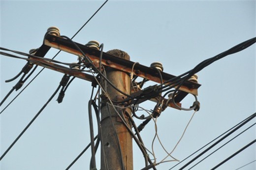 Đi bẫy chim, một người đàn ông bị điện giật tử vong