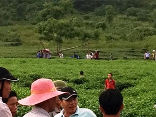 Bắt giam đối tượng sát hại người buôn trâu trên đồi chè