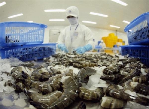 Úc hủy lệnh dừng nhập khẩu mặt hàng tôm tươi tẩm ướp
