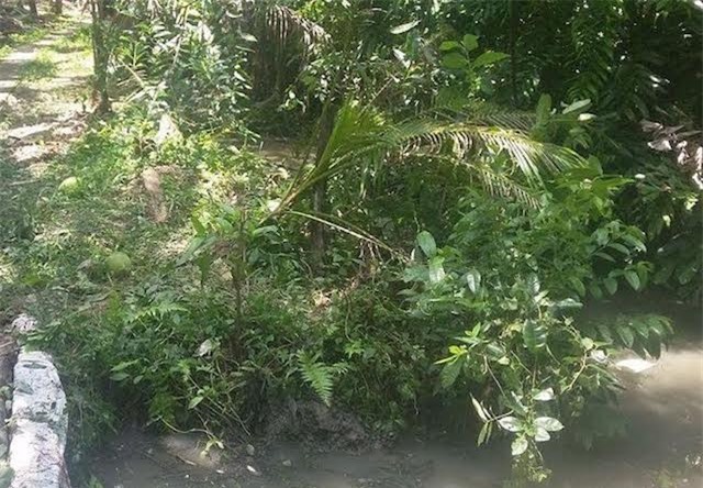 Bà chủ trang trại bị sát hại, xác giấu trong bụi rậm