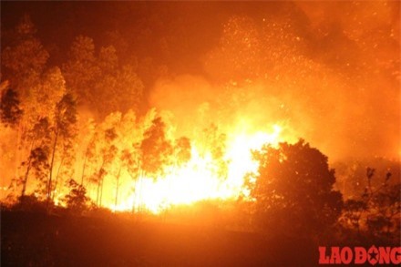 2.000 chiến sĩ PCCC chiến đấu với ngọn lửa lớn nhất lịch sử cháy rừng