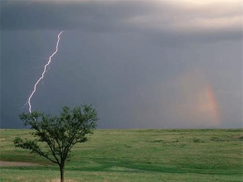 Một phụ nữ bị sét đánh tử vong giữa cánh đồng