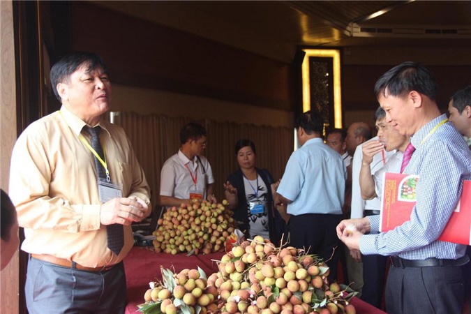 Dự kiến xuất khẩu 40 nghìn tấn vải thiều Bắc Giang sang Trung Quốc