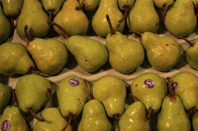 Nước Nga cứu người người làm vườn Argentina ra sao?