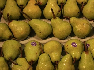 Nước Nga cứu người người làm vườn Argentina ra sao?