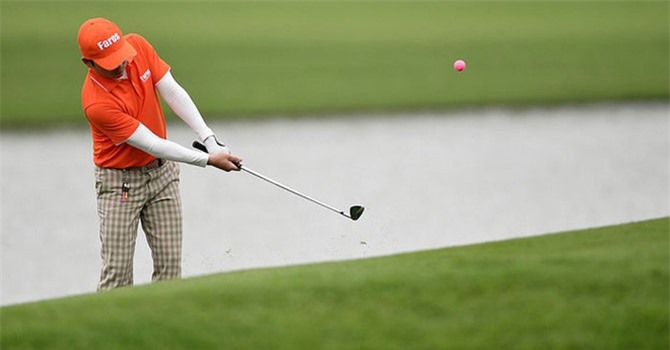 FLC Faros đã hoàn tất mua gần 25% vốn AMD