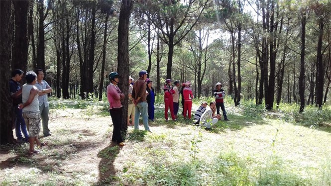 Bàng hoàng phát hiện thi thể treo cổ trong rừng thông