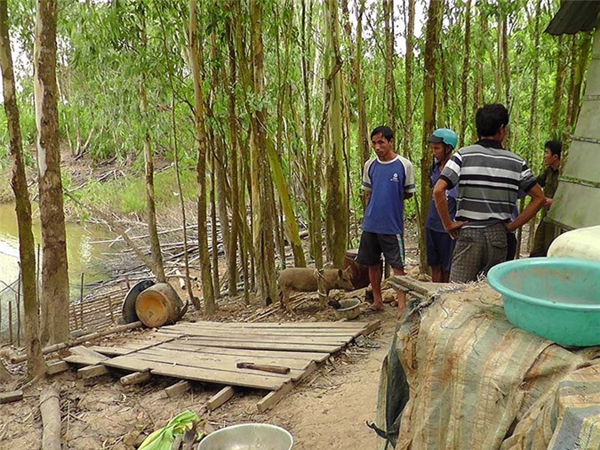 Người đàn ông ở miền Tây nghi tự tử trước mộ vợ