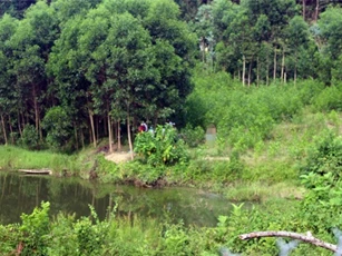 Tắm sông sau cuộc nhậu, nam thanh niên mất mạng