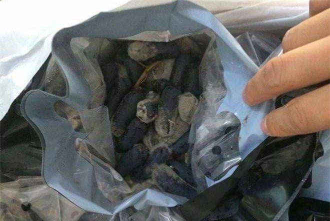 Sự thật trái cây “sốc nhiệt” bán rẻ trên mạng