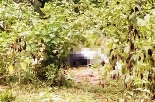 Phát hiện nam thanh niên chết sau bụi cây nghi sốc ma túy