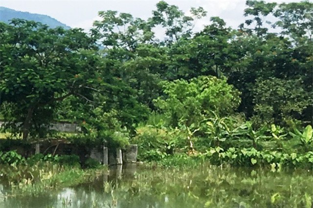 Bàng hoàng thi thể phụ nữ chết bất thường dưới ao