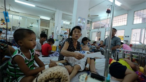 TP.HCM: Hơn 70 bệnh nhân nhập viện mỗi tuần vì sốt xuất huyết