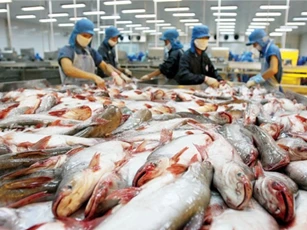 Nông thủy sản xuất khẩu mang về cho Việt Nam 17,1 tỷ USD