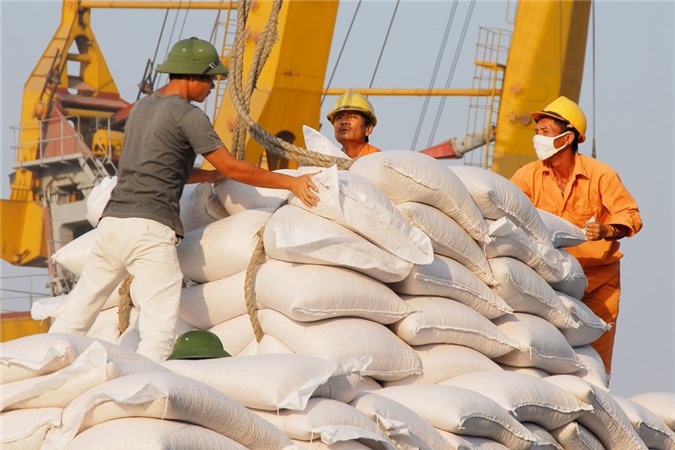 Phát hiện Vinafood 2 sai phạm hàng trăm tỷ đồng