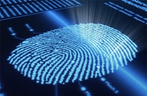 Giả dấu vân tay bằng silicon để chấm công, chiếm đoạt tài sản