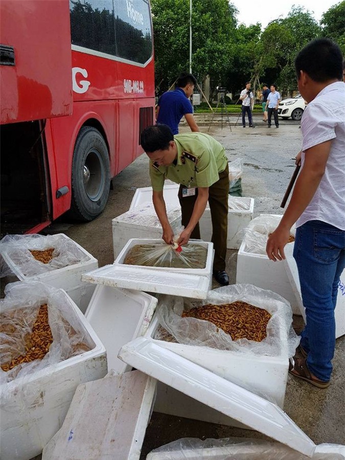 Trạm CSGT Ninh Bình bắt giữ xe khách chở thực phẩm đang phân hủy