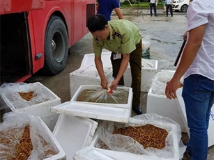 Trạm CSGT Ninh Bình bắt giữ xe khách chở thực phẩm đang phân hủy