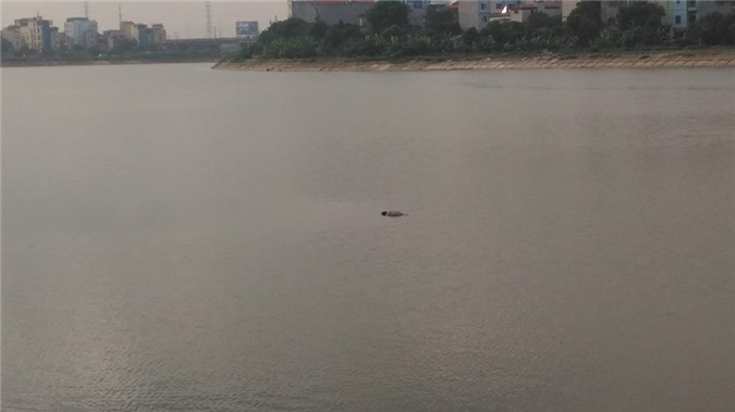 Hoảng hồn phát hiện thi thể người đàn ông nổi trên hồ Linh Đàm