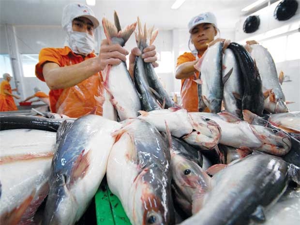 Sai phạm hàng loạt, "Vua cá tra" Hùng Vương bị phạt nặng