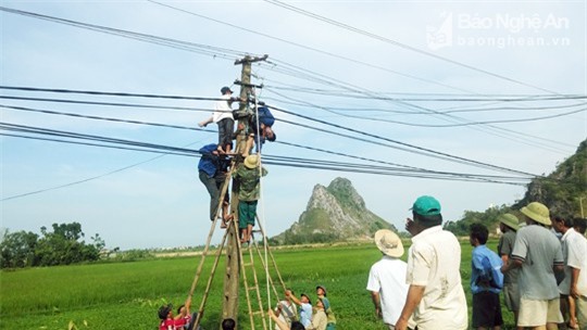Phó giám đốc hợp tác xã ở Nghệ An bị điện giật chết thảm
