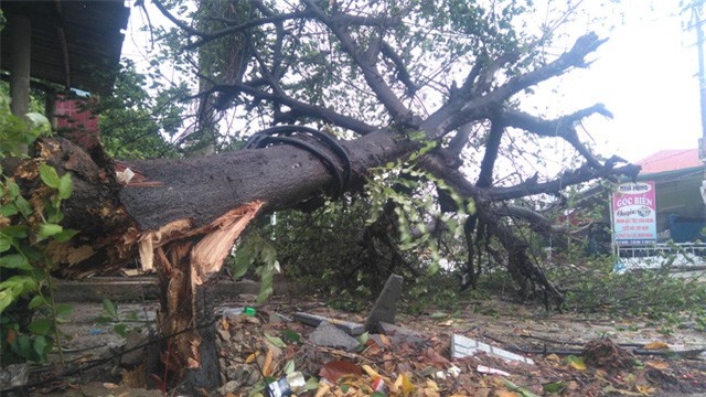 Hình ảnh mới nhất bão số 4 đổ bộ ở Quảng Bình, Quảng Trị