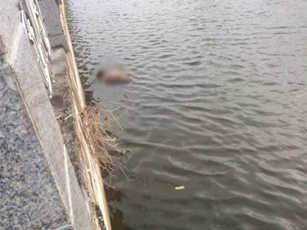 Phát hiện thi thể nam thanh niên trên sông sau 2 ngày đi đám cưới