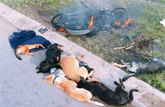 2 "cẩu tặc" bị đánh bất tỉnh, người dân hô hào đốt xe