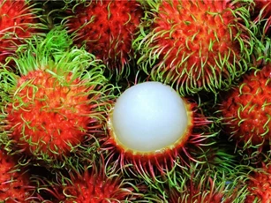 Chôm chôm Việt Nam sắp được xuất khẩu sang New Zealand