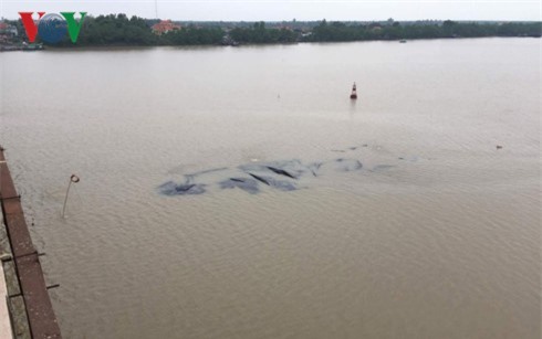 Sà lan chở 1.000 tấn than bị chìm trên Sông Chanh