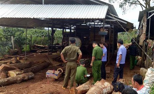Ngã vào máy cưa gỗ, nam thanh niên chết thảm