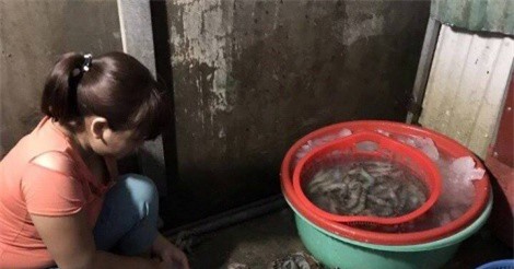 Tôm bơm tạp chất "ẩn nấp" tại chợ đầu mối Hà Nội