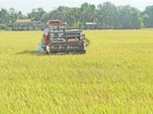 Tranh giành đất, em chém anh rồi dìm xuống nước đến chết