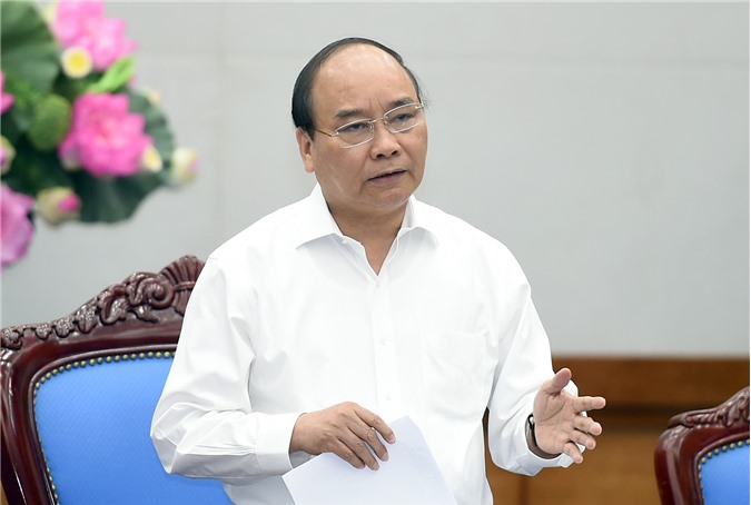 "Giấy phép kinh doanh rất nhiều, rất nhiều, người ta kêu nhiều lắm"